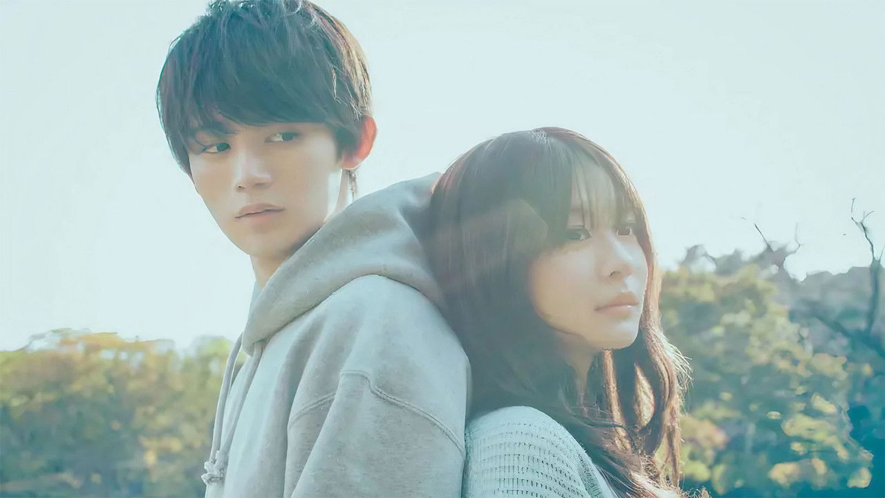 Love Unseen Beneath the Clear Night Sky